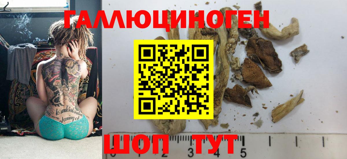Псилоцибиновые грибы мухоморы  Вход с VPN  Батайск 